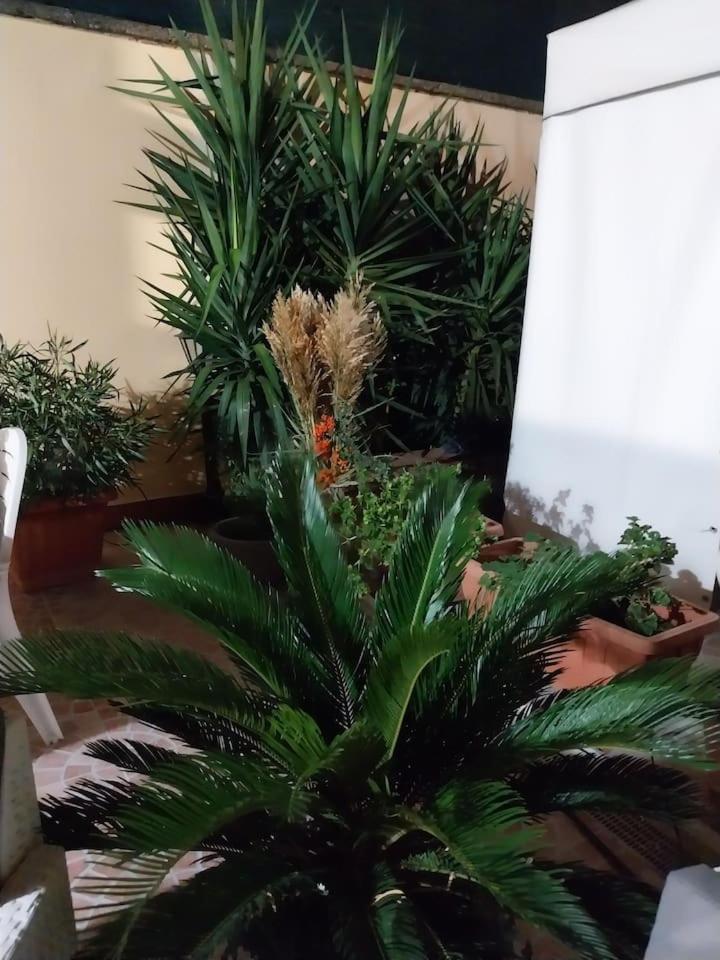 Il Giardino Di Marimar Daire Dış mekan fotoğraf