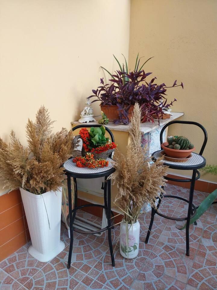 Il Giardino Di Marimar Daire Dış mekan fotoğraf